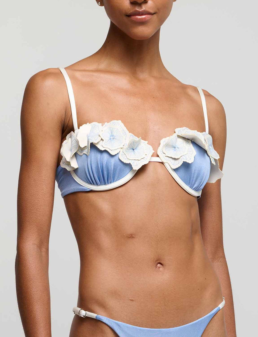 Top Cups Reef Bloom