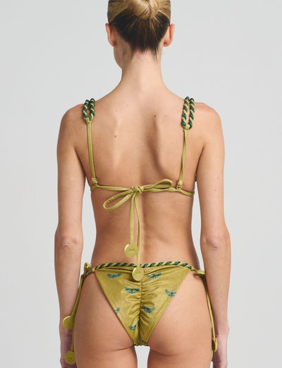 Top Triangle Delmare