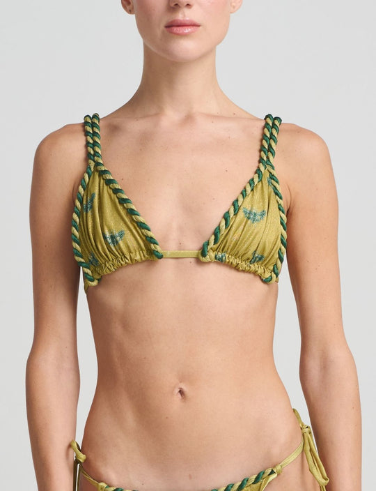 Top Triangle Delmare